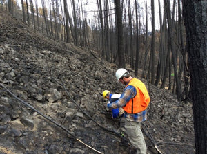 Technical Assistance for Forestry Resources