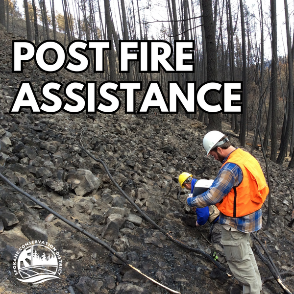 Post Fire Assistance