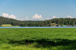 Newman Lake Advanced Wastewater Treatment Pilot Study