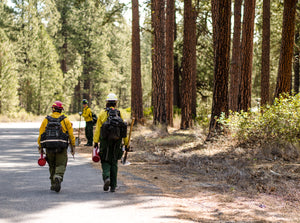 Partners and Resources for Forestry Resources