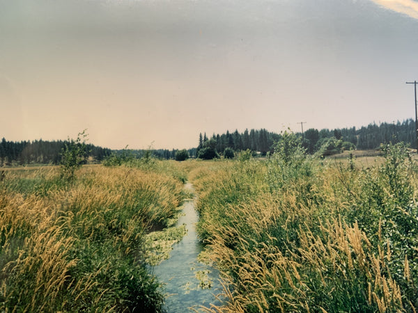Marshall Creek Stream Flow