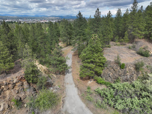 Trail winding through woodland SCD campus