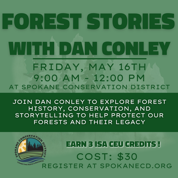 Forest Stories with Dan Conley