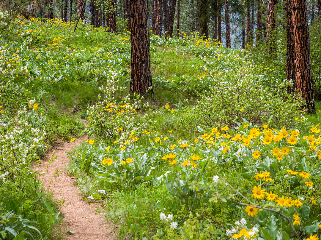 Staffing – Spokane Conservation District
