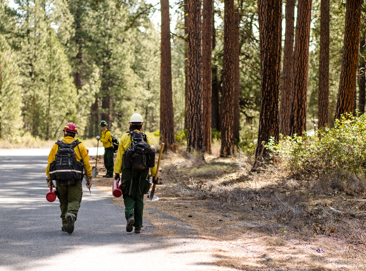 Forestry Resources – Spokane Conservation District