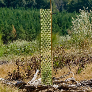 Tree Tubes - Bundle of 10 (SOLD OUT)