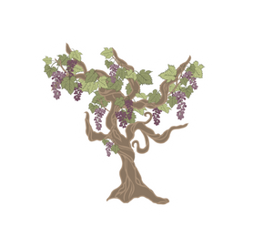 Decorative illustration of a grapevine with purple grapes on a white background