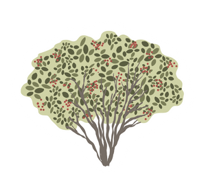 Illustration of a tree with green leaves and red berries on a light beige background